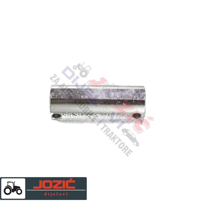 Daisy on the Ohoopee